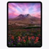 Apple 13 iPad Pro M5 Chip (Standard Glass, Space Black) (5) Apple 13 iPad Pro M5 Chip (Standard Glass, Space Black) (5)