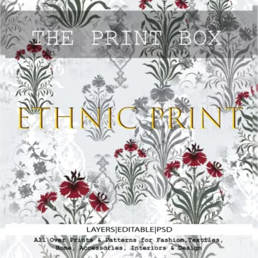 Print Box Ethnic Print Motifs – Rich of shapes and forms included DVD Print Box Ethnic Print Motifs - Rich of shapes and forms included DVD