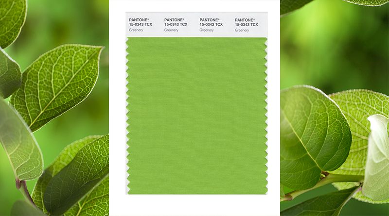 Pantone Greenery color of the year 2017 Report