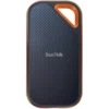 SanDisk (2)