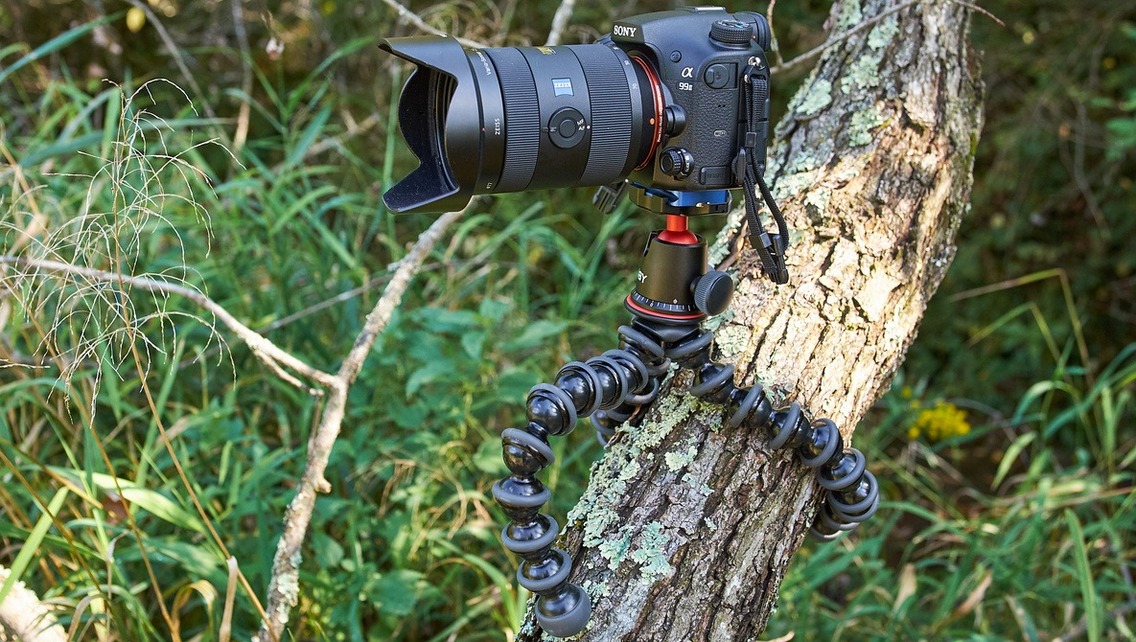 Joby Gorillapod 5k on tree branch