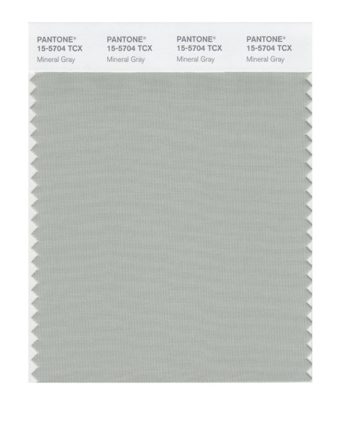 Pantone 15-5704 TCX Swatch Card Mineral Gray