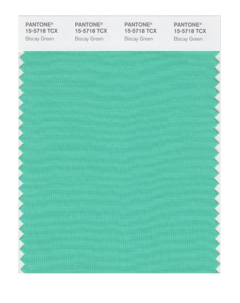 Pantone 15-5718 TCX Swatch Card Biscay Green