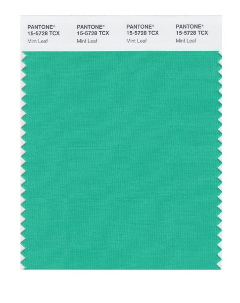 Pantone 15-5728 TCX Swatch Card Mint Leaf