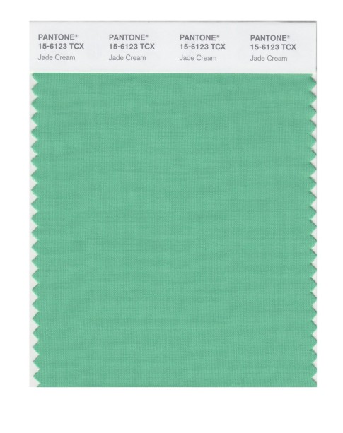 Pantone 15-6123 TCX Swatch Card Jade Cream