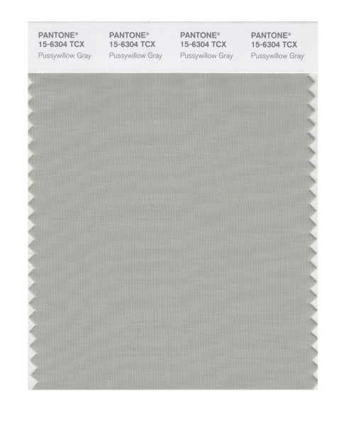 Pantone 15-6304 TCX Swatch Card Pussywillow Gray