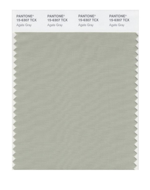 Pantone 15-6307 TCX Swatch Card Agate Gray