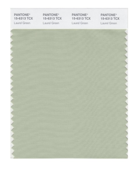 Pantone 15-6313 TCX Swatch Card Laurel Green