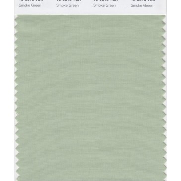 Pantone 15-6315 TCX Swatch Card Smoke Green