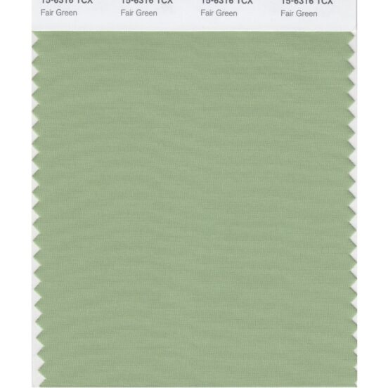 Pantone 15-6316 TCX Swatch Card Fair Green