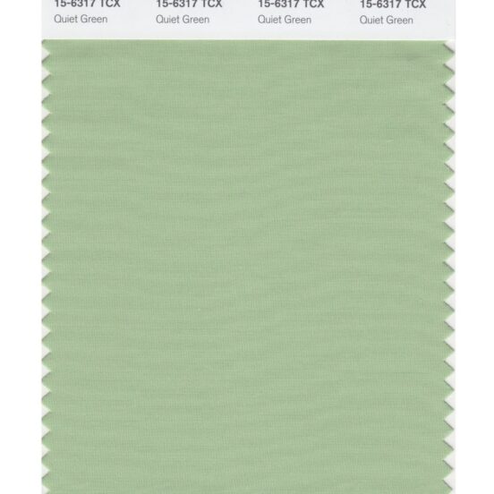Pantone 15-6317 TCX Swatch Card Quiet Green