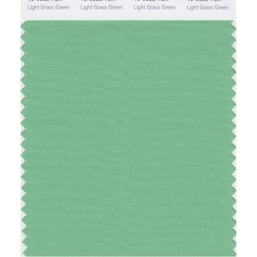 Pantone 15-6322 TCX Swatch Card Lt Grass Green
