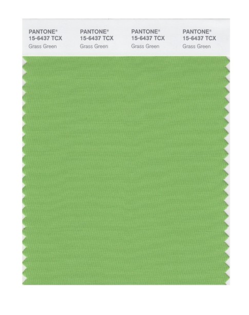 Pantone 15-6437 TCX Swatch Card Grass Green