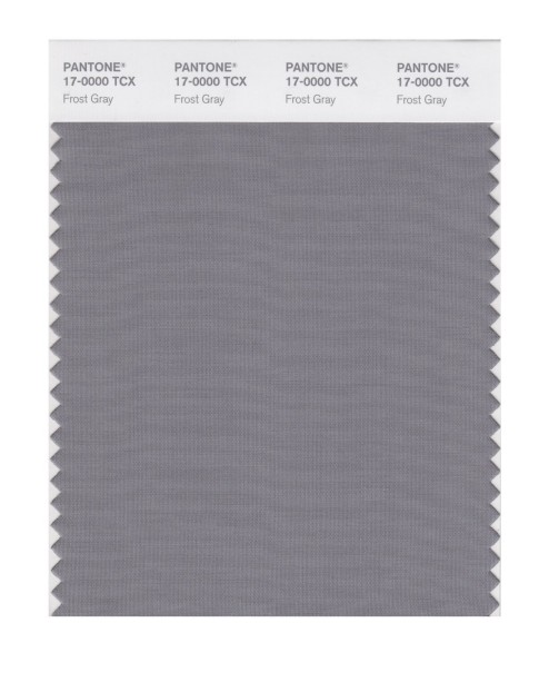 Pantone 17-0000 TCX Swatch Card Frost Gray