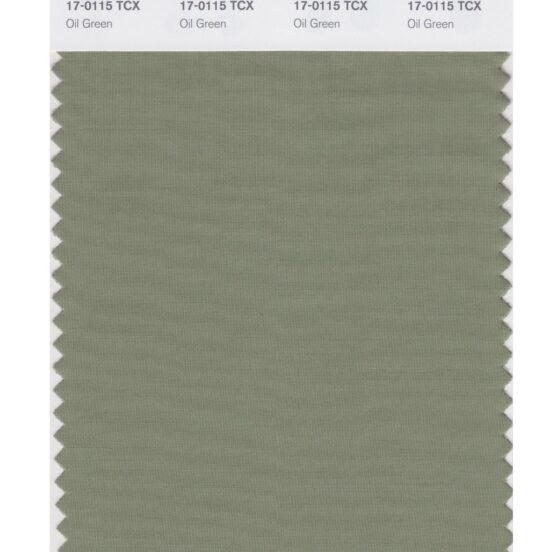 Pantone 17-0115 TCX Swatch Card Oil Green