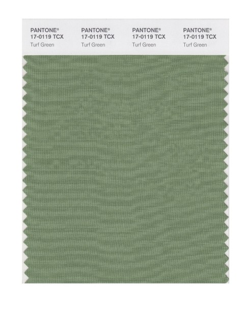 Pantone 17-0119 TCX Swatch Card Turf Green