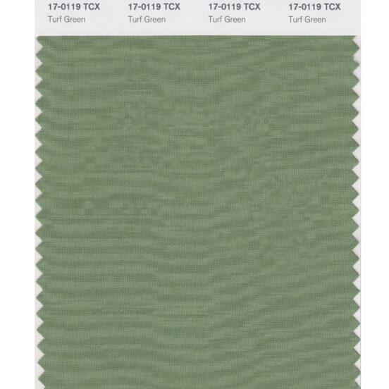 Pantone 17-0119 TCX Swatch Card Turf Green