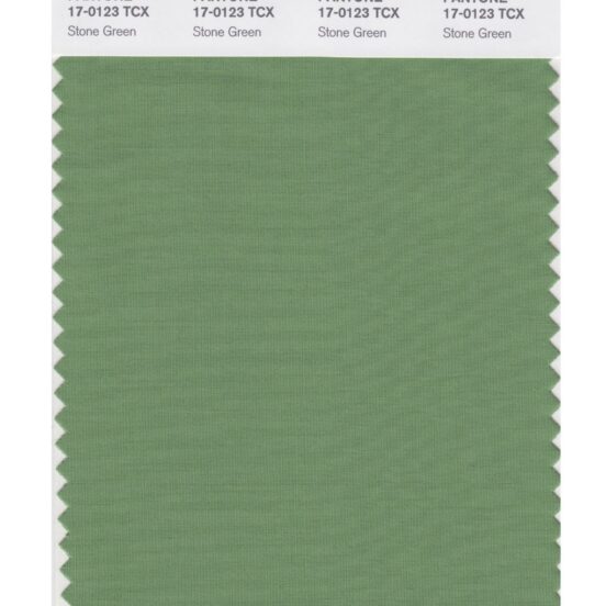Pantone 17-0123 TCX Swatch Card Stone Green