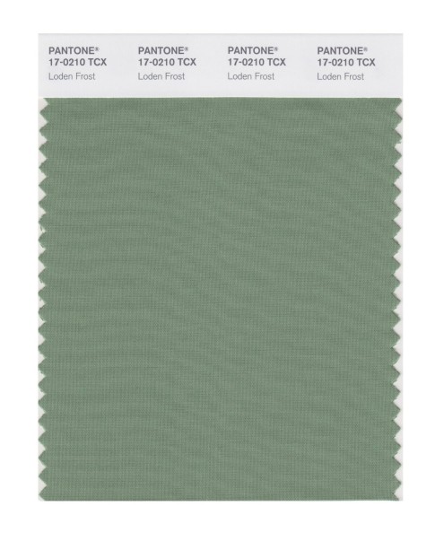 Pantone 17-0210 TCX Swatch Card Loden Frost