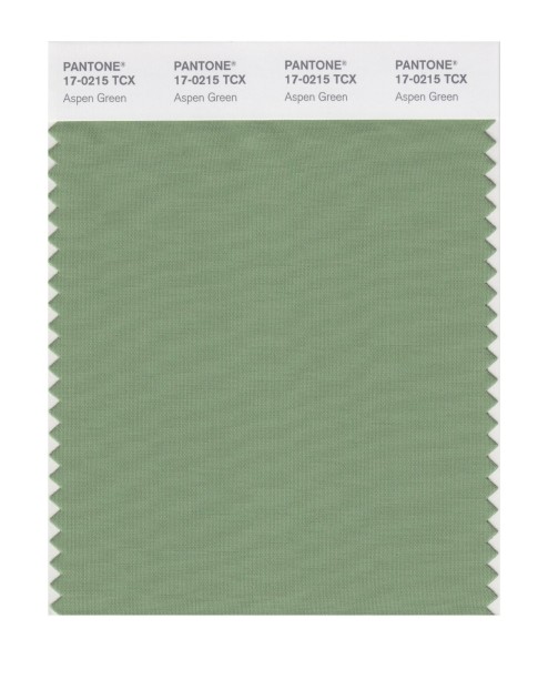 Pantone 17-0215 TCX Swatch Card Aspen Green