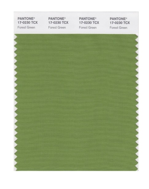 Pantone 17-0230 TCX Swatch Card Forest Green