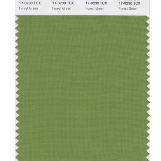 Pantone 17-0230 TCX Swatch Card Forest Green