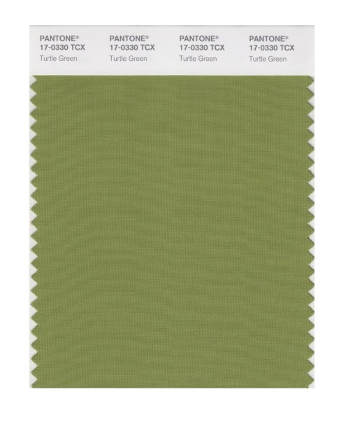 Pantone 17-0330 TCX Swatch Card Turtle Green
