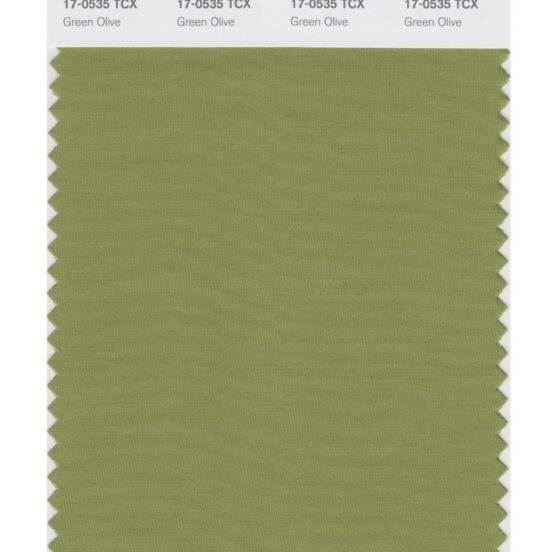 Pantone 17-0535 TCX Swatch Card Green Olive