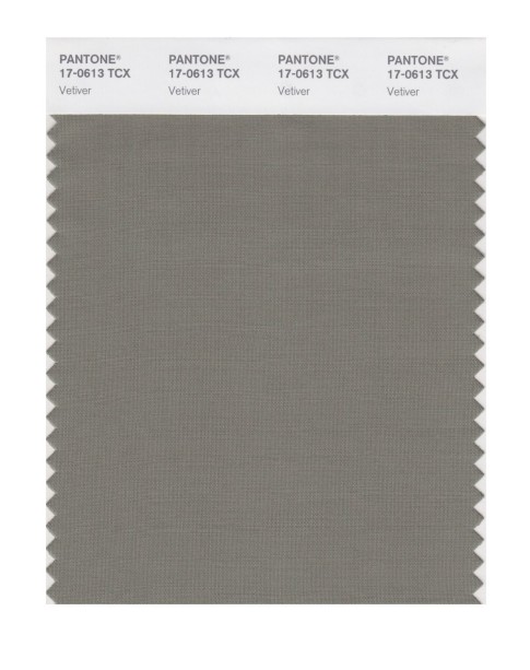 Pantone 17-0613 TCX Swatch Card Vetiver