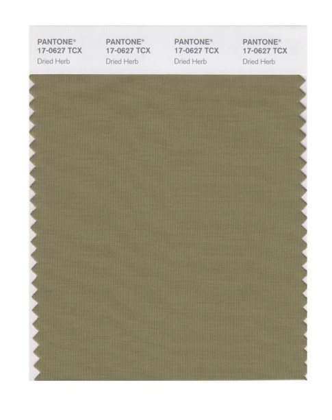 Pantone 17-0627 TCX Swatch Card Dried Herb