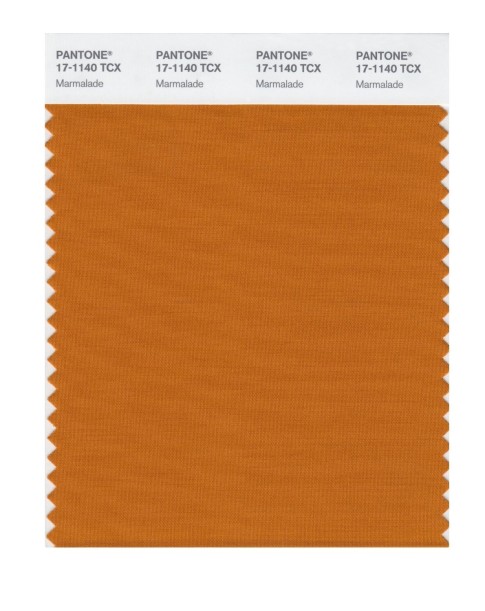 Pantone 17-1140 TCX Swatch Card Marmalade