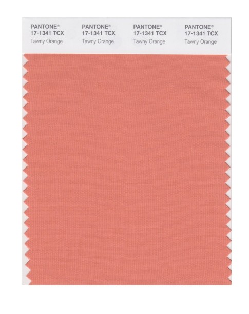 Pantone 17-1341 TCX Swatch Card Tawny Orange