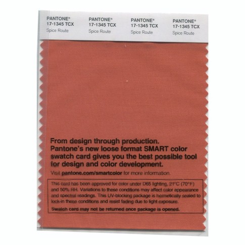 Pantone 17-1345 TCX Swatch Card Spice Route