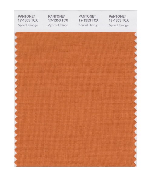 Pantone 17-1353 TCX Swatch Card Apricot Orange