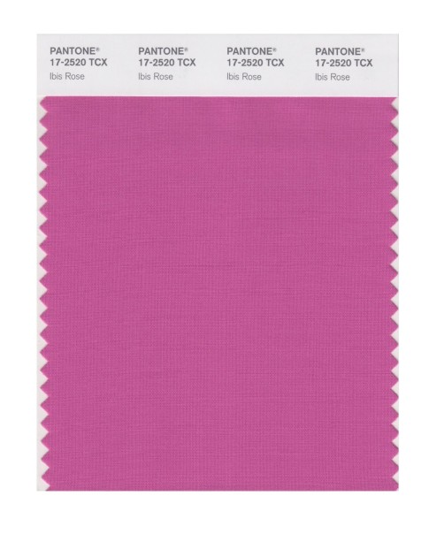 Pantone 17-2520 TCX Swatch Card Ibis Rose