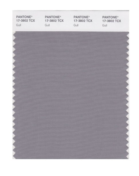 Pantone 17-3802 TCX Swatch Card Gull