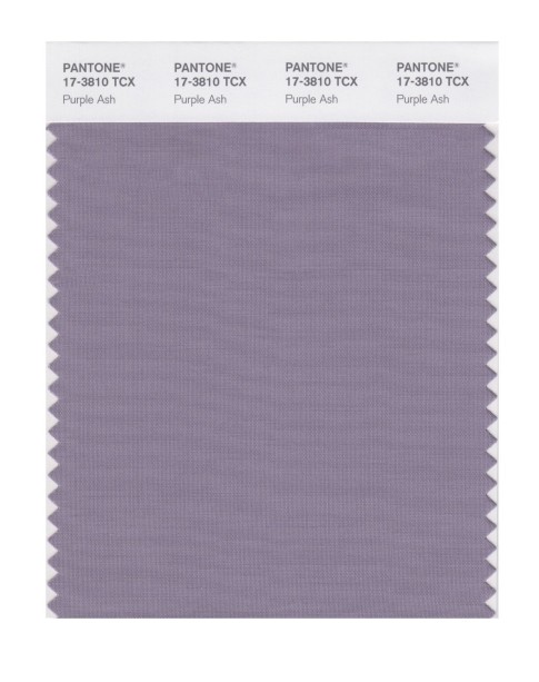 Pantone 17-3810 TCX Swatch Card Purple Ash