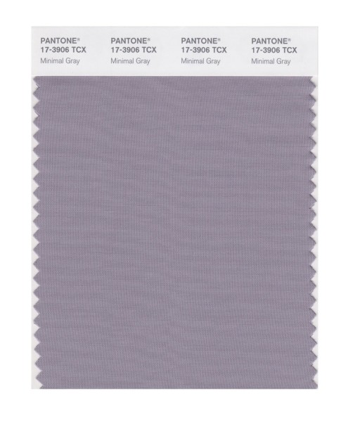 Pantone 17-3906 TCX Swatch Card Minimal Gray