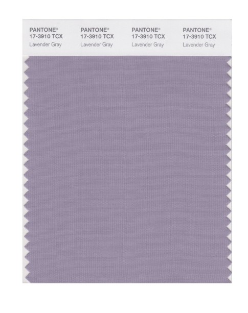 Pantone 17-3910 TCX Swatch Card Lavender Gray