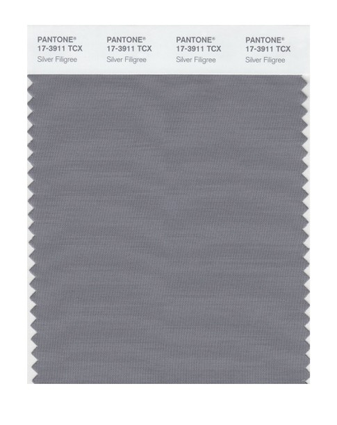 Pantone 17-3911 TCX Swatch Card Silver Filigree