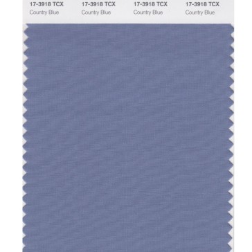 Pantone 17-3918 TCX Swatch Card Country Blue