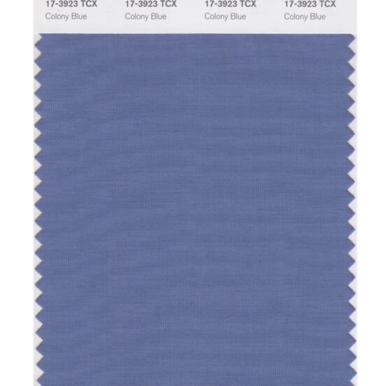 Pantone 17-3923 TCX Swatch Card Colony Blue