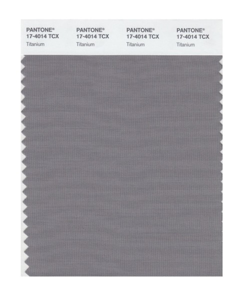 Pantone 17-4014 TCX Swatch Card Titanium