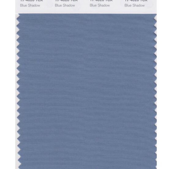 Pantone 17-4020 TCX Swatch Card Blue Shadow
