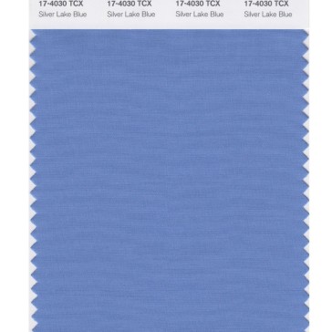 Pantone 17-4030 TCX Swatch Card Silver Lake Blue