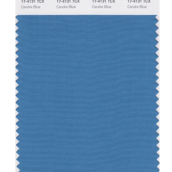 Pantone 17-4131 TCX Swatch Card Cendre Blue
