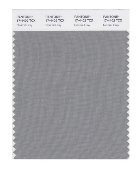 Pantone 17-4402 TCX Swatch Card Neutral Gray