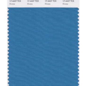 Pantone 17-4427 TCX Swatch Card Bluejay