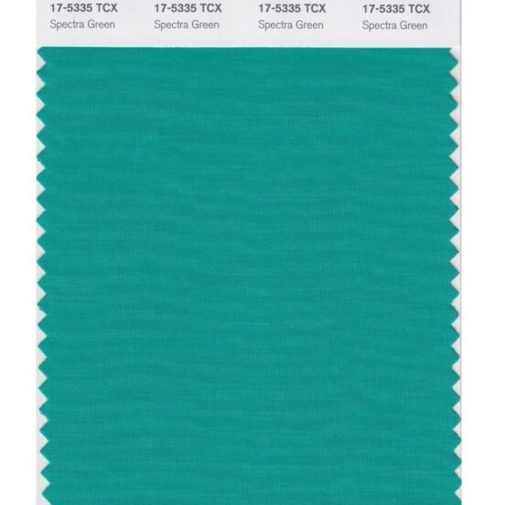 Pantone 17-5335 TCX Swatch Card Spectra Green