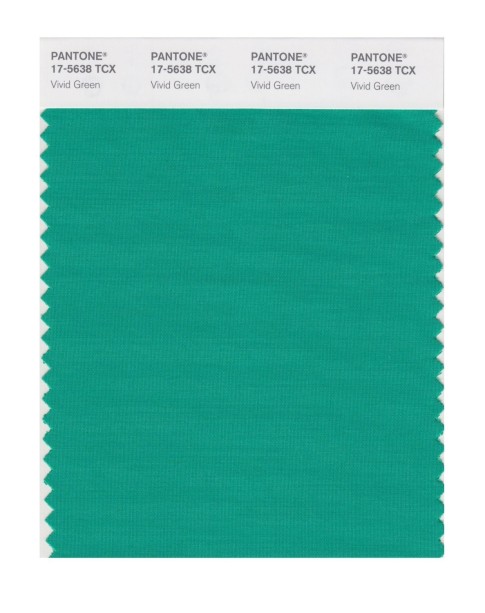 Pantone 17-5638 TCX Swatch Card Vivid Green